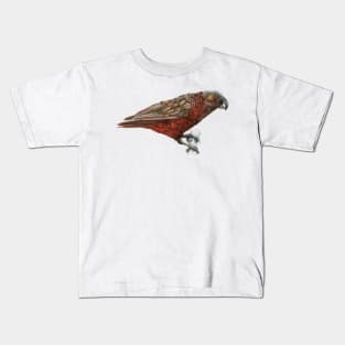 Mr Kaka, New Zealand native parrot Kids T-Shirt